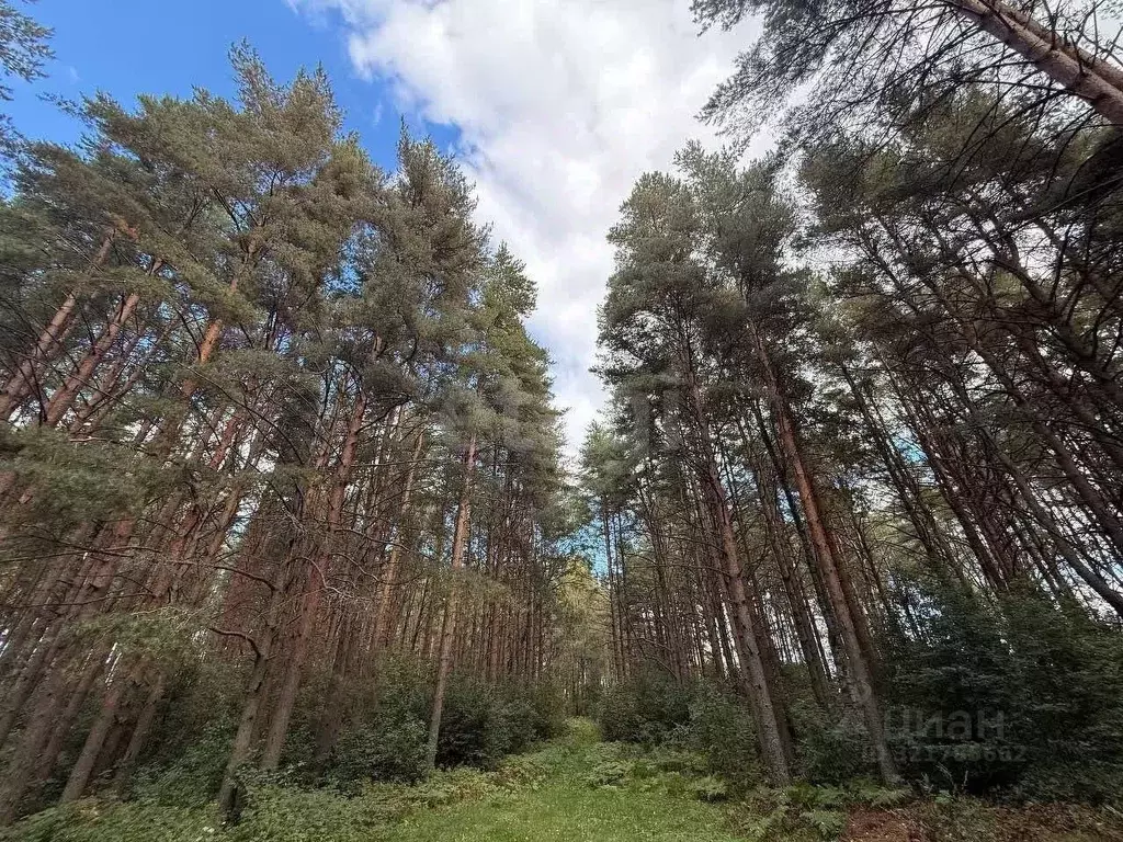 Дом в Ярославская область, Рыбинский муниципальный округ, д. Большой ... - Фото 1