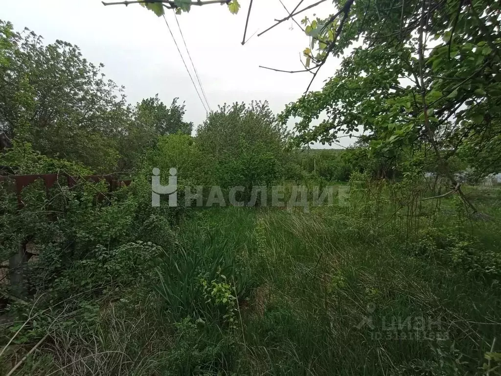 Дом в Ростовская область, Белокалитвинское городское поселение, ... - Фото 1
