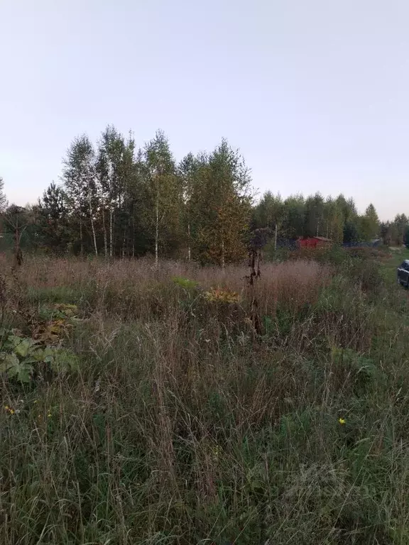 участок в пермский край, краснокамский городской округ, пос. ласьва . - Фото 0