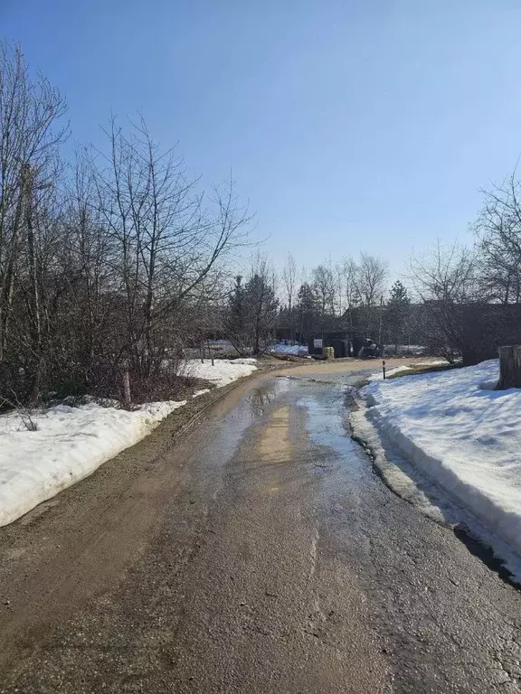 Участок в Московская область, Дмитровский муниципальный округ, с. ... - Фото 2