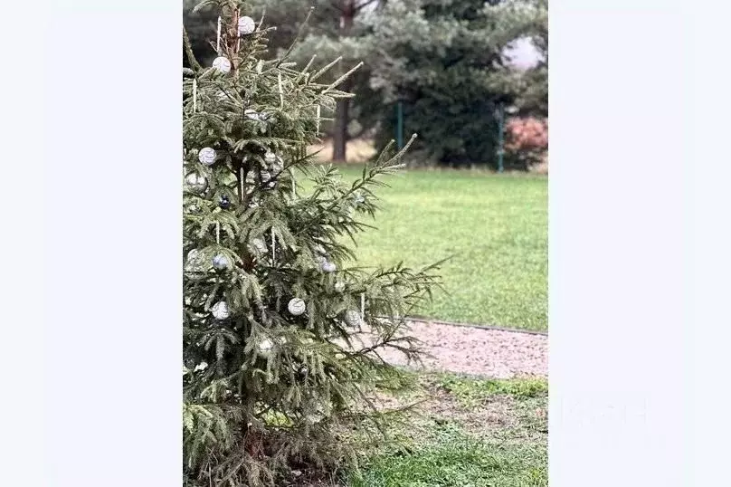 Дом в Тверская область, Конаковский муниципальный округ, д. Елдино 7 ... - Фото 1