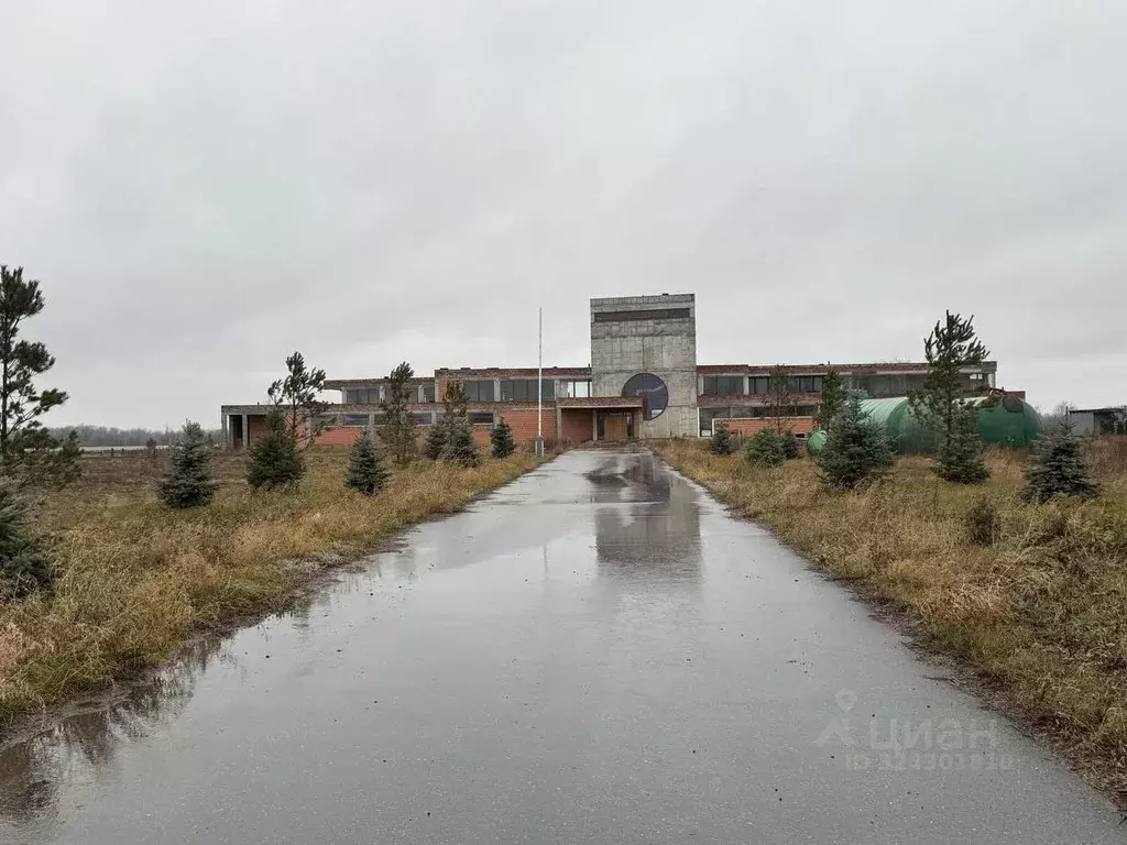 Помещение свободного назначения в Самарская область, Кинельский район, ... - Фото 2