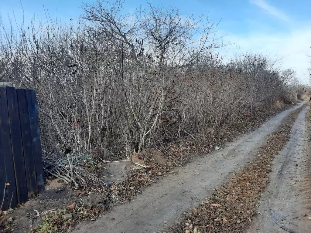 Участок в Ростовская область, Новочеркасск № 16 садовое товарищество,  ... - Фото 0