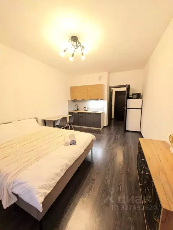 Студия Санкт-Петербург аллея Арцеуловская, 17 (24.5 м) - Фото 1