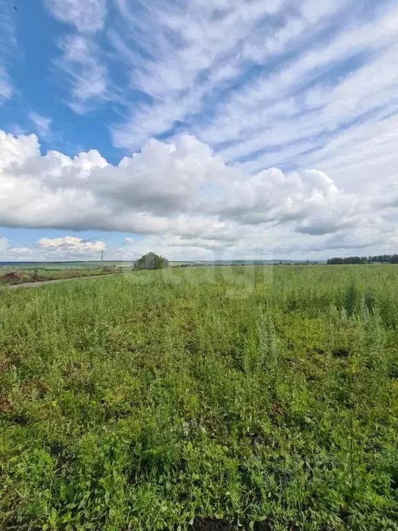 Участок в Мордовия, Лямбирский район, Берсеневское с/пос, Альтерра кп  ... - Фото 2