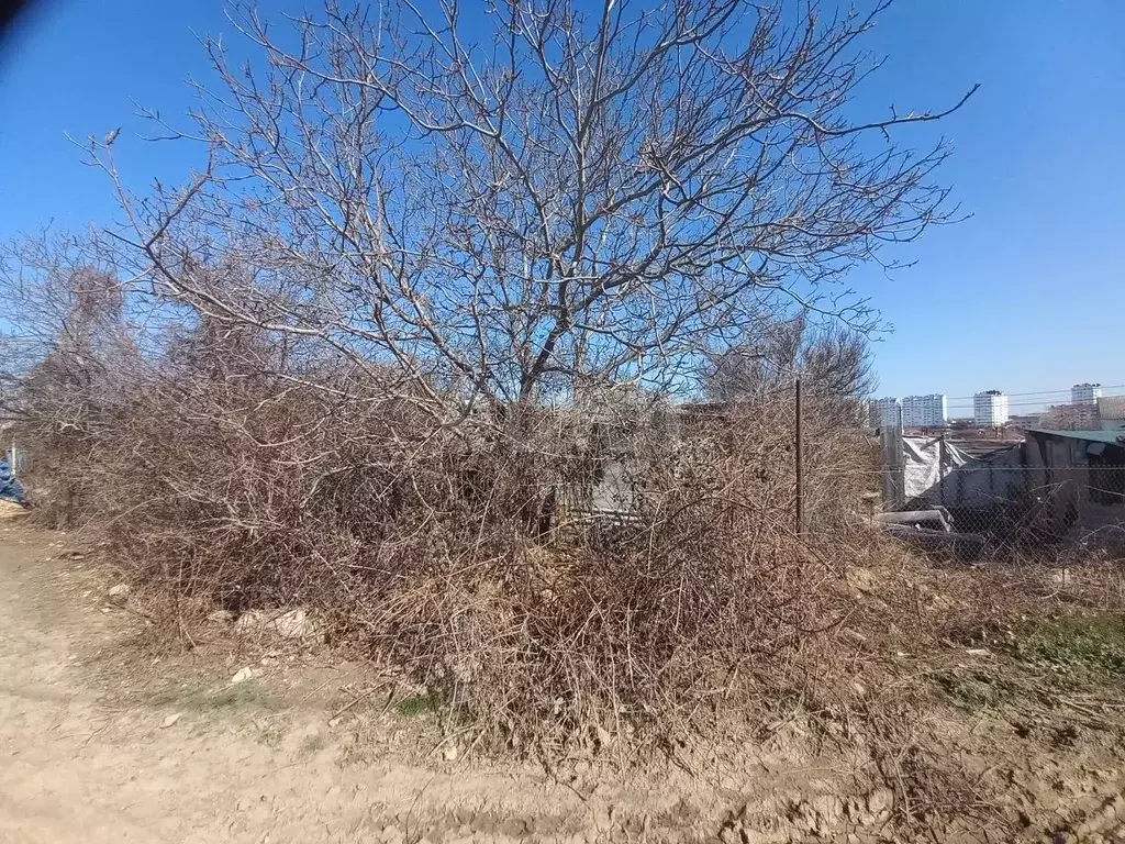 Участок в Севастополь Дачник СТ, ул. 1-я Воронцовская (8.98 сот.) - Фото 2