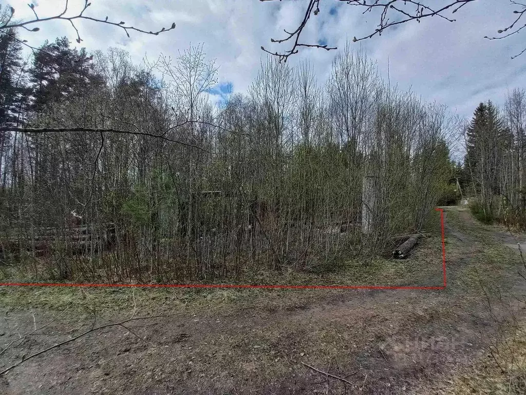 Участок, 16.5 сот., 0 - Фото 1