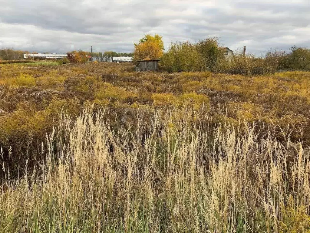 Участок в Брянская область, Брянский район, Добрунское с/пос, д. ... - Фото 1