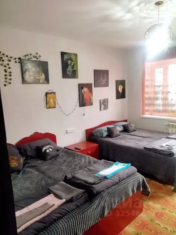 Комната Ставропольский край, Кочубеевский муниципальный округ, ... - Фото 1