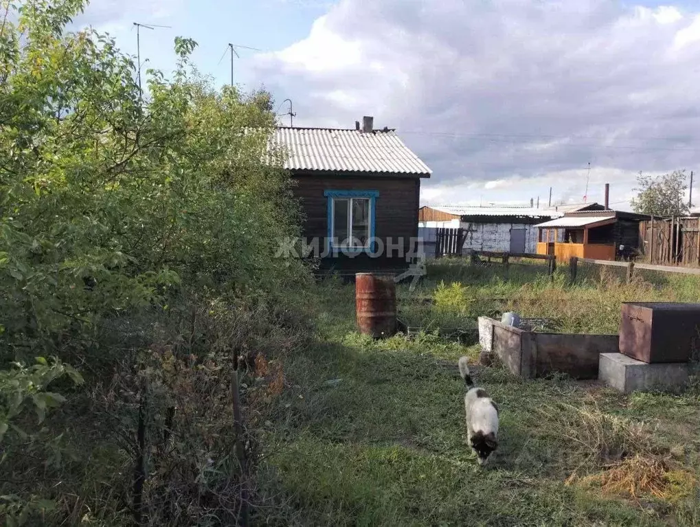 Дом в Тыва, Кызылский кожуун, Каа-Хем пгт ул. Найырал (56 м) - Фото 0