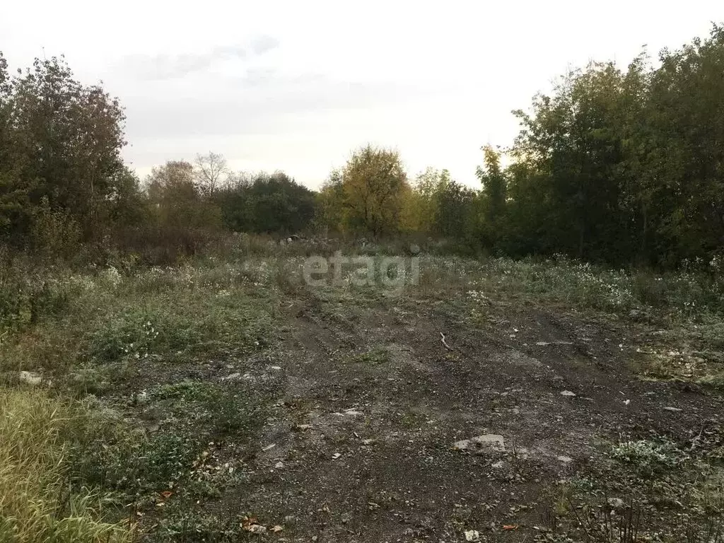 Участок в село Николо-Павловское, Сосновая улица (18.6 м) - Фото 1