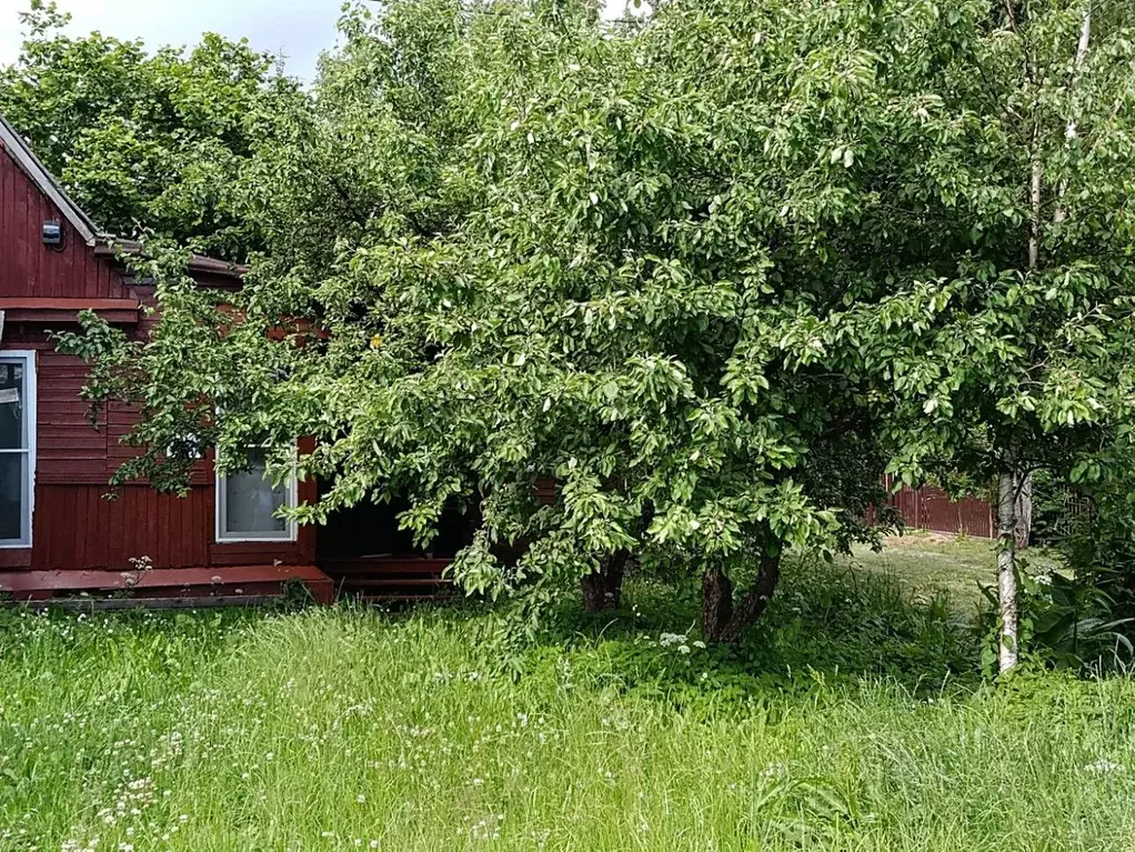 Дом в Ленинградская область, Кировское городское поселение, Беляевский ... - Фото 2