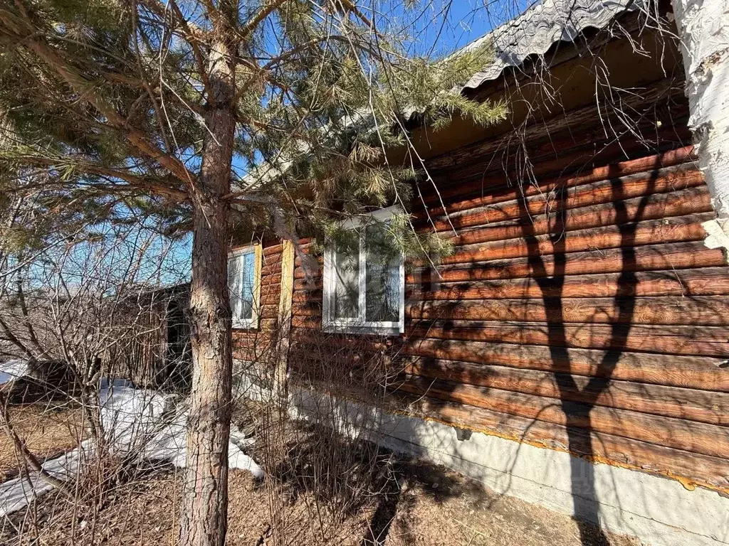 Дом в Курганская область, Каргапольский муниципальный округ, Красный ... - Фото 1