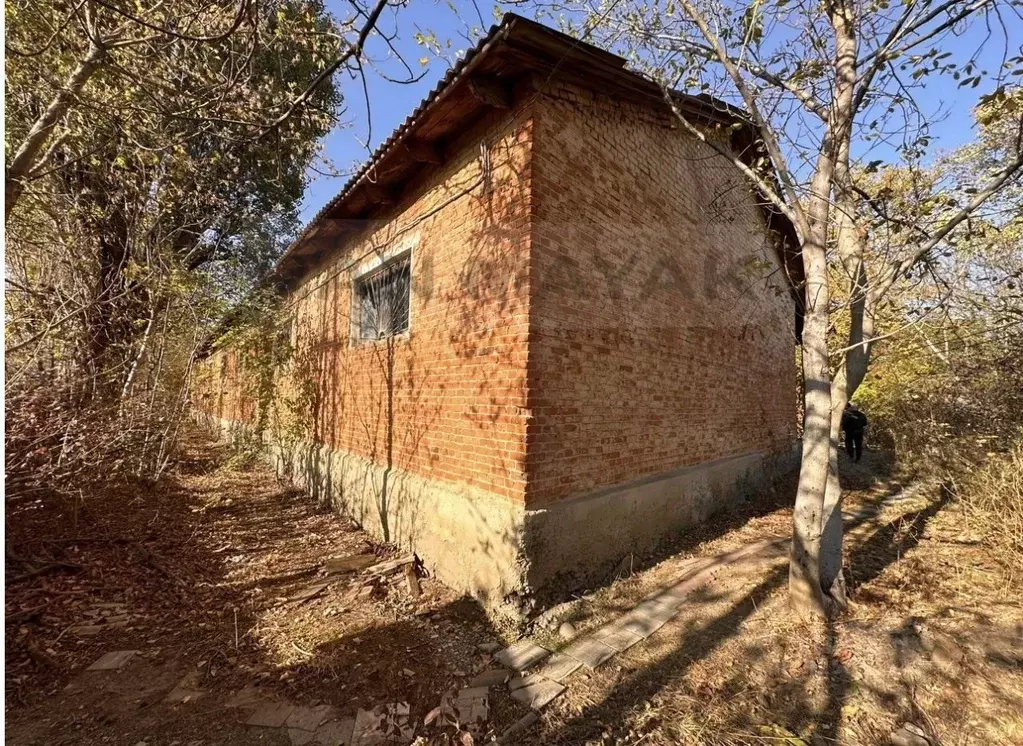 Производственное помещение в Адыгея, Майкоп Промышленная ул., 56 (100 ... - Фото 1