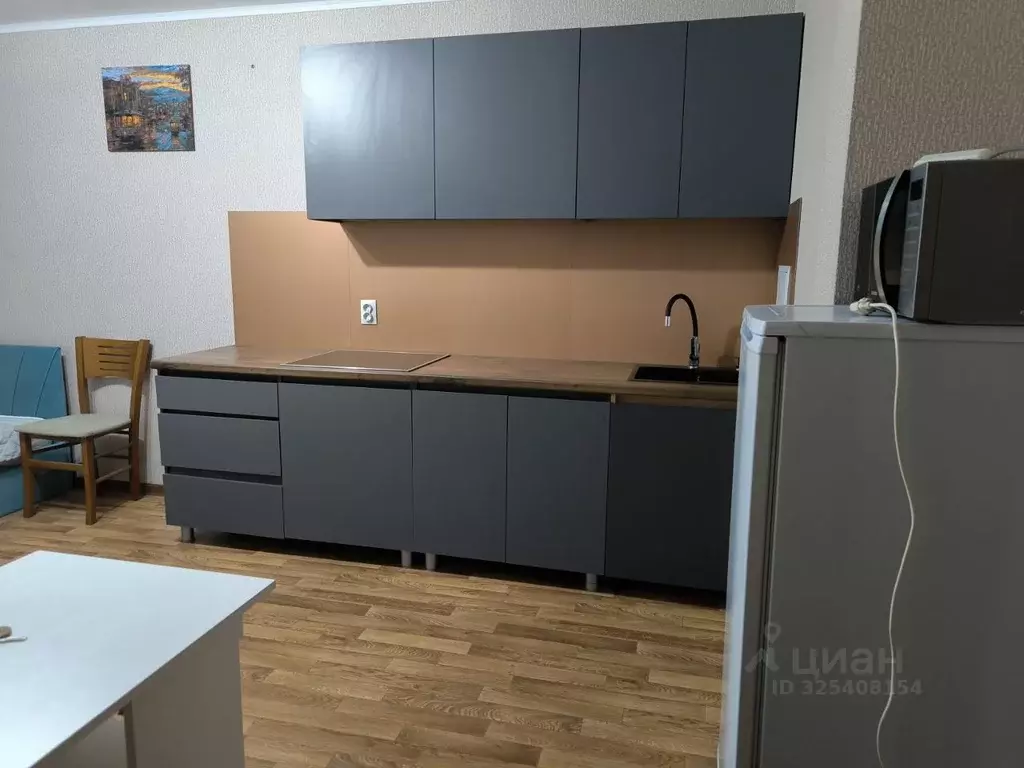 Студия Краснодарский край, Краснодар Черкасская ул., 135 (26.0 м) - Фото 2