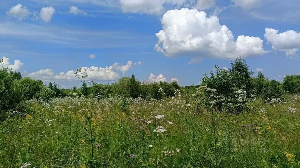 Участок в Московская область, Можайский муниципальный округ, д. ... - Фото 2