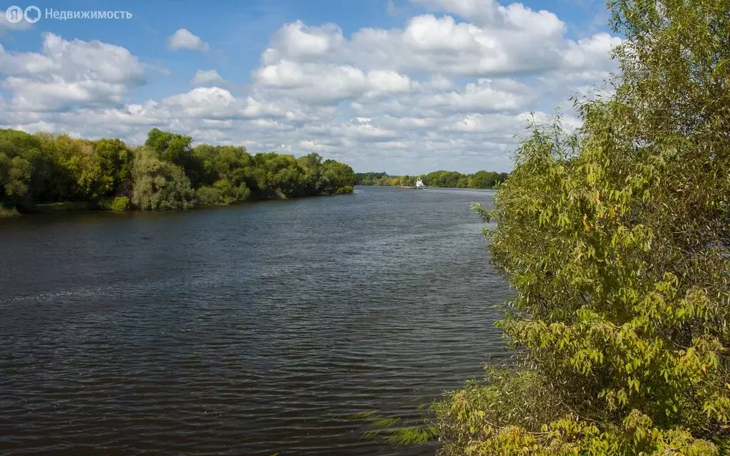 Участок в Московская область, Раменский муниципальный округ, КП ... - Фото 1