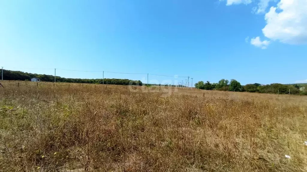 Участок в Краснодарский край, Новороссийск городской округ, ... - Фото 0