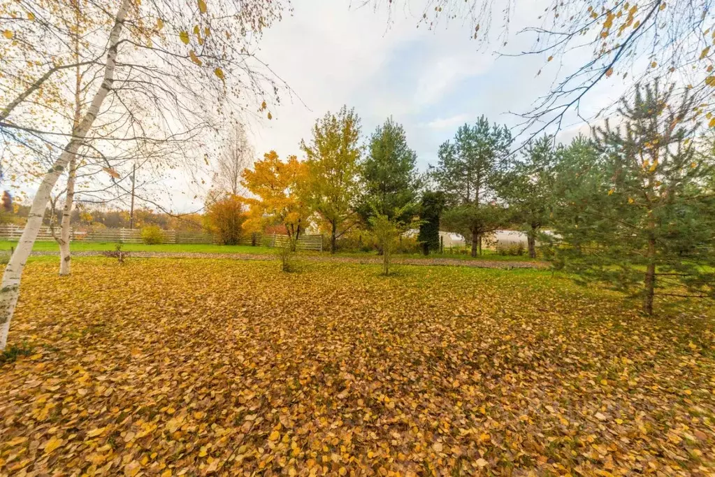 Участок в Карелия, Прионежский район, Шуйское с/пос, д. Бесовец, д. ... - Фото 1