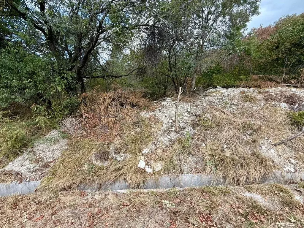 Участок в Краснодарский край, Новороссийск городской округ, с. ... - Фото 2