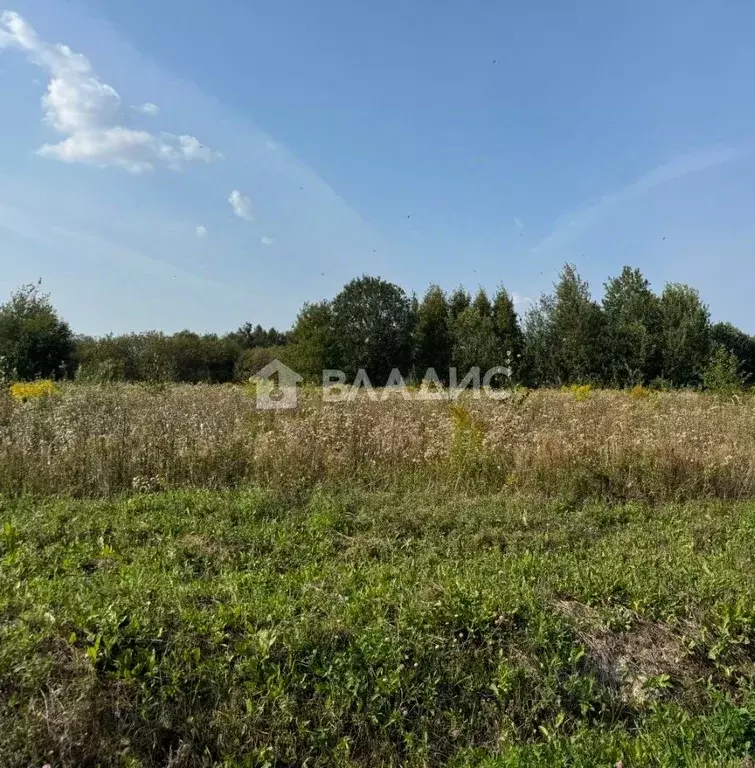 Участок в Московская область, Воскресенск городской округ, с. Михалево ... - Фото 1