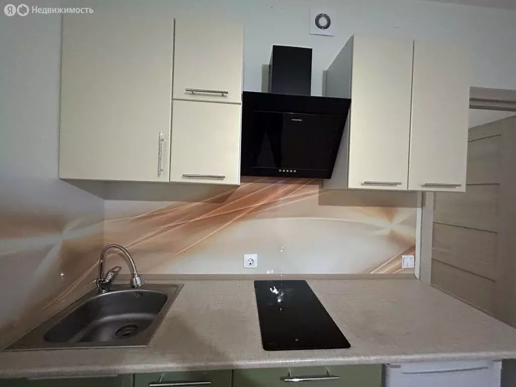 Квартира-студия: Санкт-Петербург, проспект Ветеранов, 171к5 (23.5 м) - Фото 2