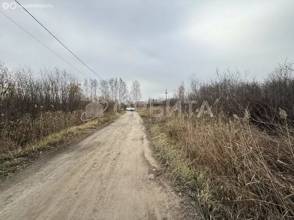 Участок в Тюмень, садовое товарищество Липовый Остров (8.6 м) - Фото 2