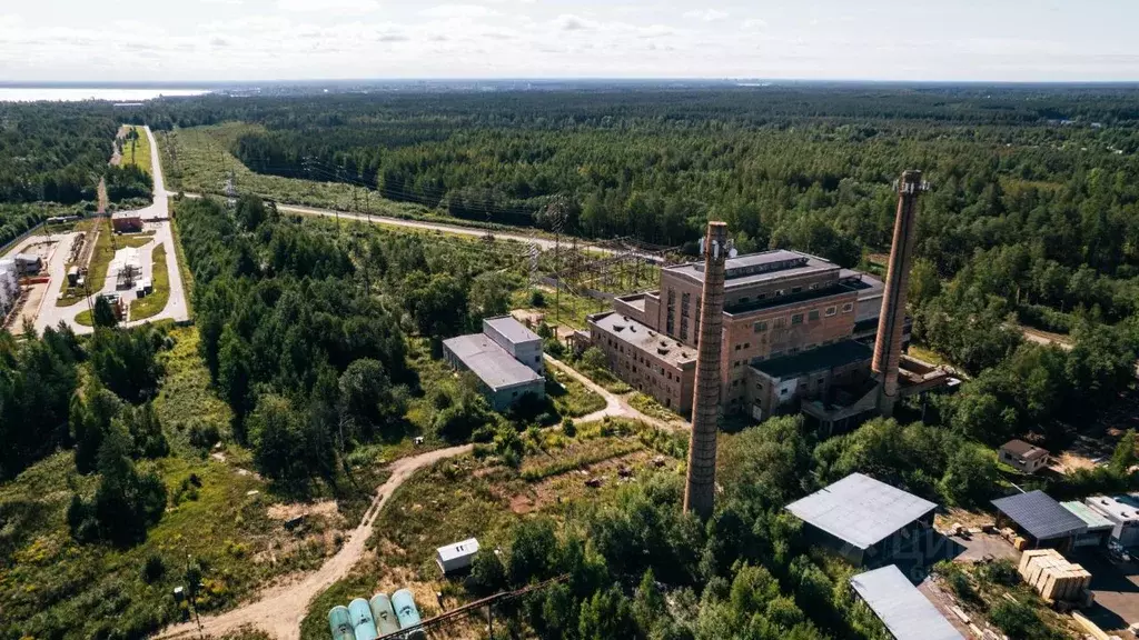 Помещение свободного назначения в Ленинградская область, Всеволожский ... - Фото 1