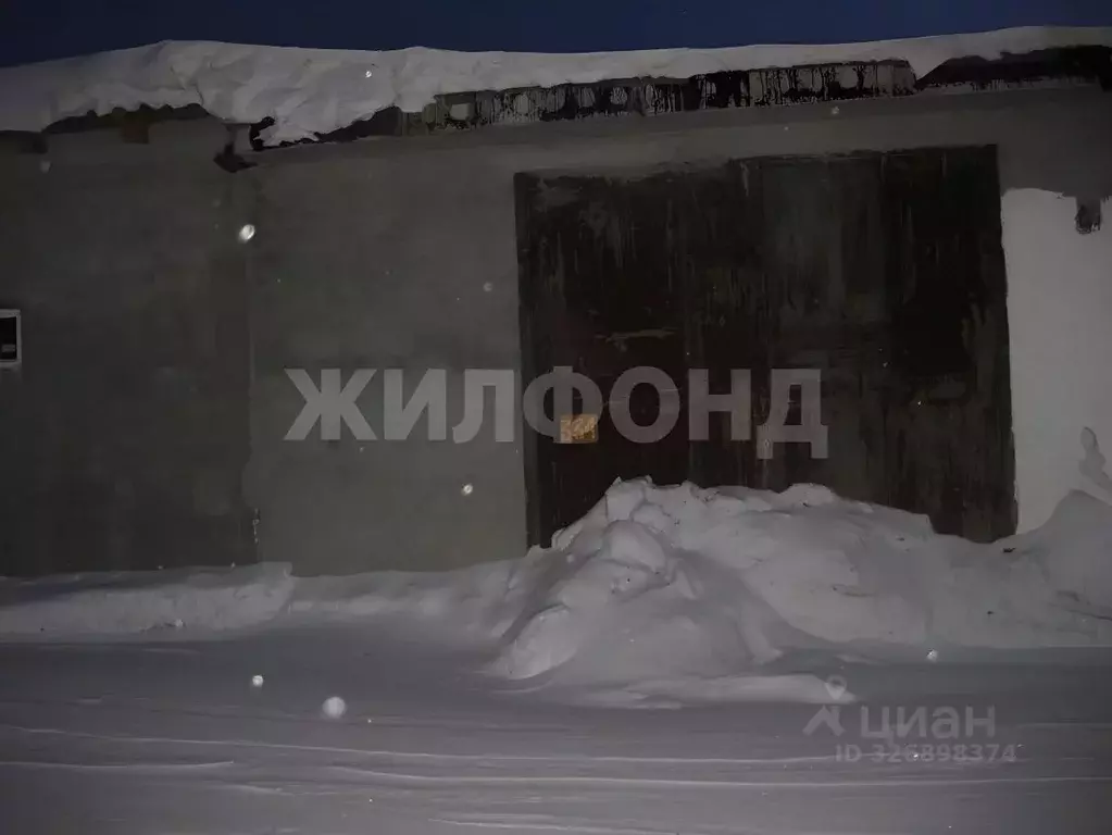 Гараж в Новосибирская область, Обь просп. Мозжерина, 5к1 (320 м) - Фото 1