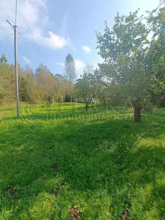 Участок в Ленинградская область, Кингисеппский район, Опольевское ... - Фото 2