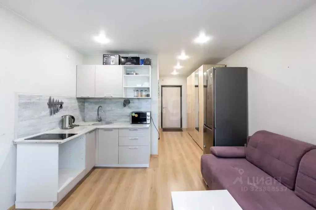 Студия Тюменская область, Тюмень Велижанская ул., 66к1 (20.7 м) - Фото 0