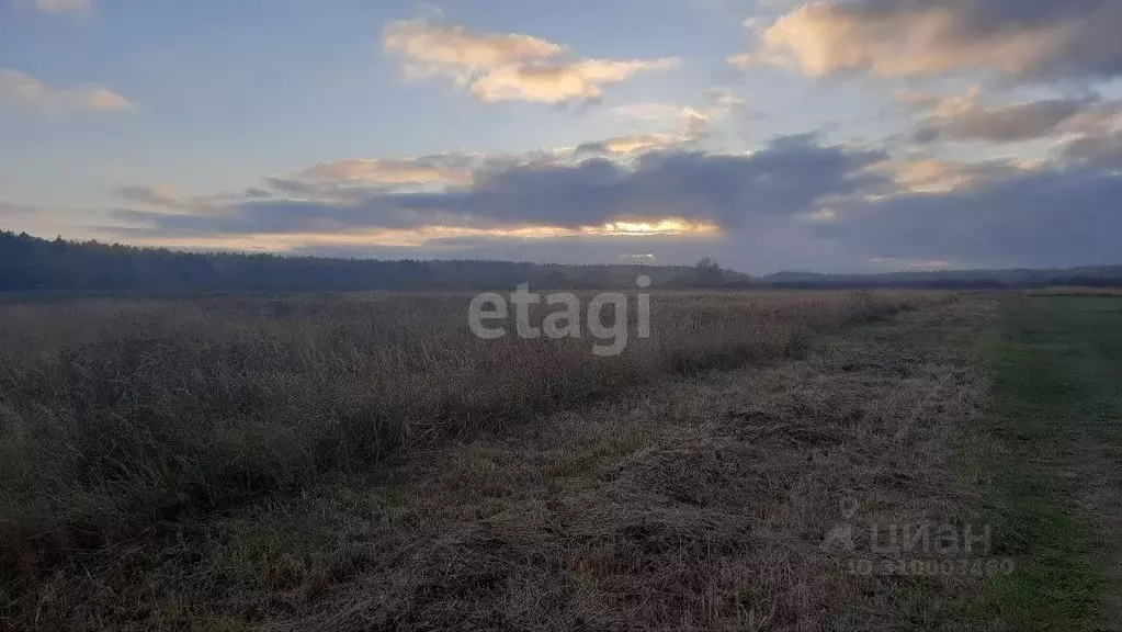 Участок в Калининградская область, Светловский городской округ, пос. ... - Фото 1