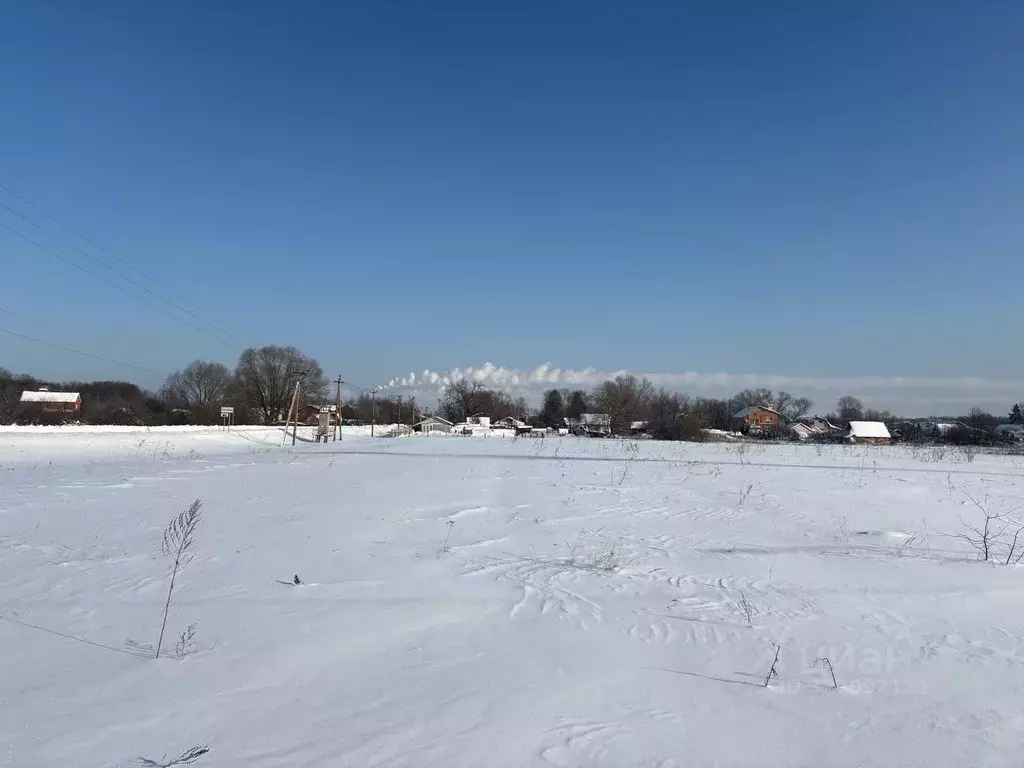 Участок в Московская область, Воскресенск городской округ, д. Ратчино  ... - Фото 1