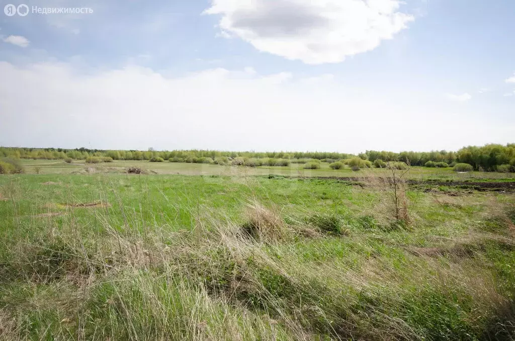 Участок в Упоровский район, село Суерка (10000 м) - Фото 1