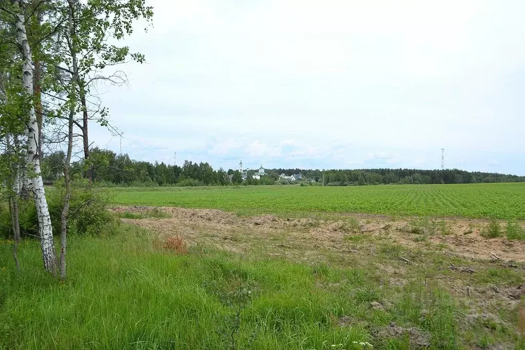 Участок в Московская область, Шатура муниципальный округ, с. Шарапово  ... - Фото 2