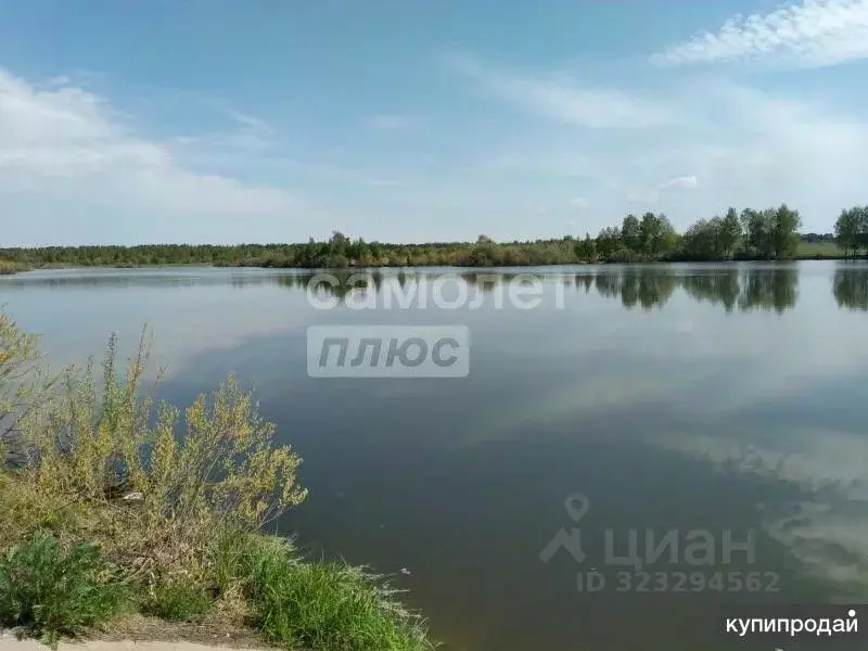 Участок в Марий Эл, Йошкар-Ола городской округ, д. Шоя-Кузнецово ул. ... - Фото 1