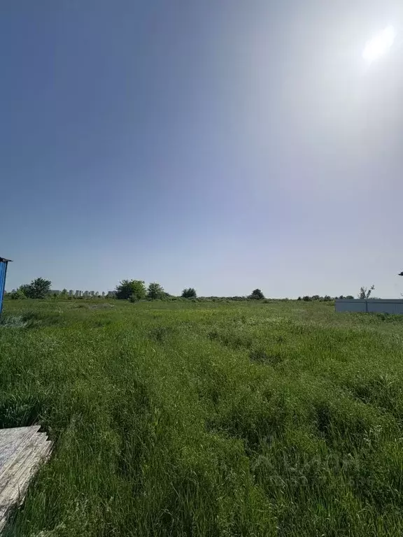 Участок в Краснодарский край, Краснодар ул. Имени И.И. Романенко ... - Фото 1