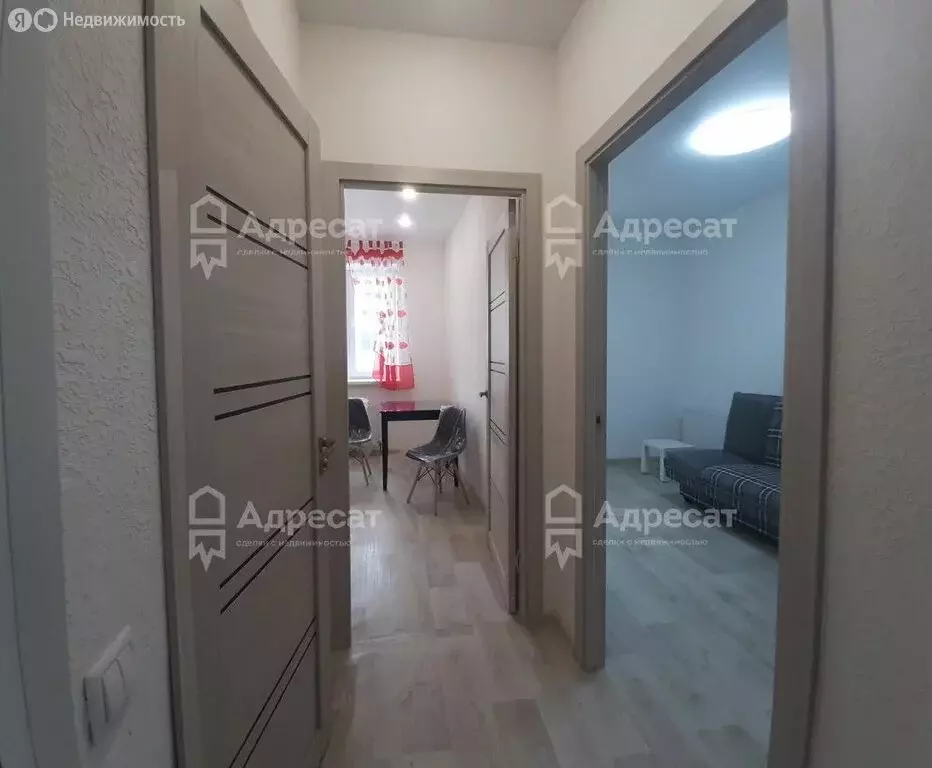 1-комнатная квартира: Волгоград, улица Ломоносова, 87 (21.8 м) - Фото 1
