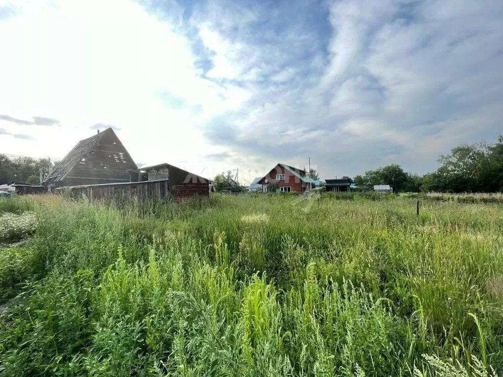 Участок в Новосибирская область, Новосибирский район, с. Барышево ул. ... - Фото 0