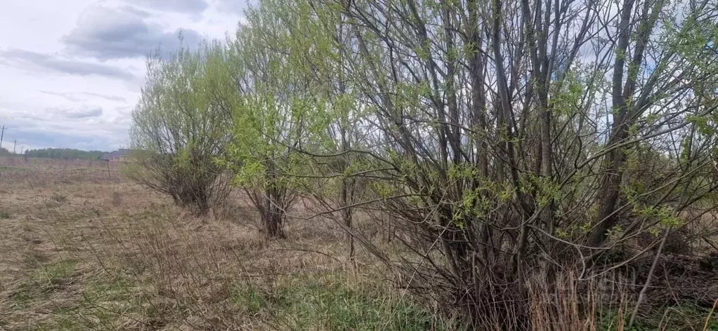 Участок в Московская область, Домодедово городской округ, д. Ртищево  ... - Фото 0