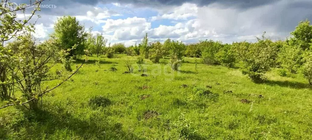 Участок в Рамонский район, Русскогвоздёвское сельское поселение, село ... - Фото 0