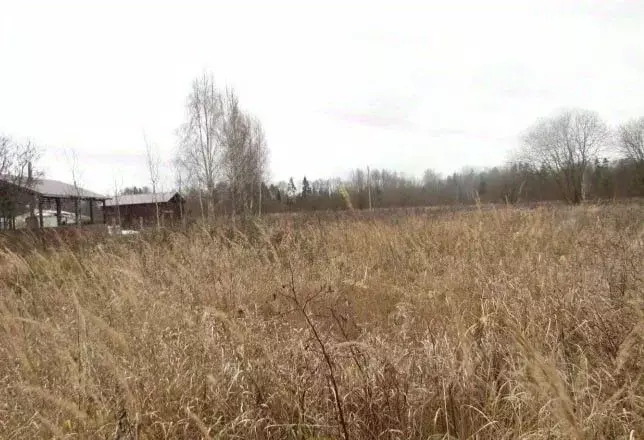 Участок в Московская область, Коломна городской округ, д. Берняково  ... - Фото 1