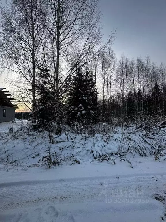 Участок в Удмуртия, Завьяловский район, д. Крестовоздвиженское  (12.0 ... - Фото 2