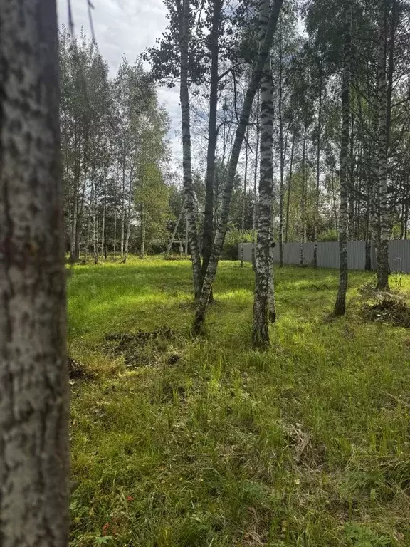 Участок в Московская область, Талдомский городской округ, д. Гусенки ... - Фото 2