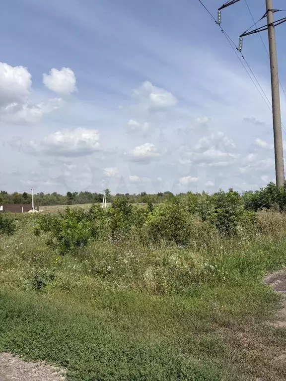 Участок 14 сот. (СНТ, ДНП) - Фото 0