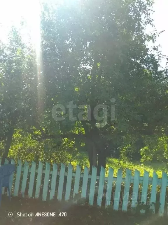 Дом в Алтайский край, Алтайский район, пос. Катунь Центральная ул., 4 ... - Фото 1