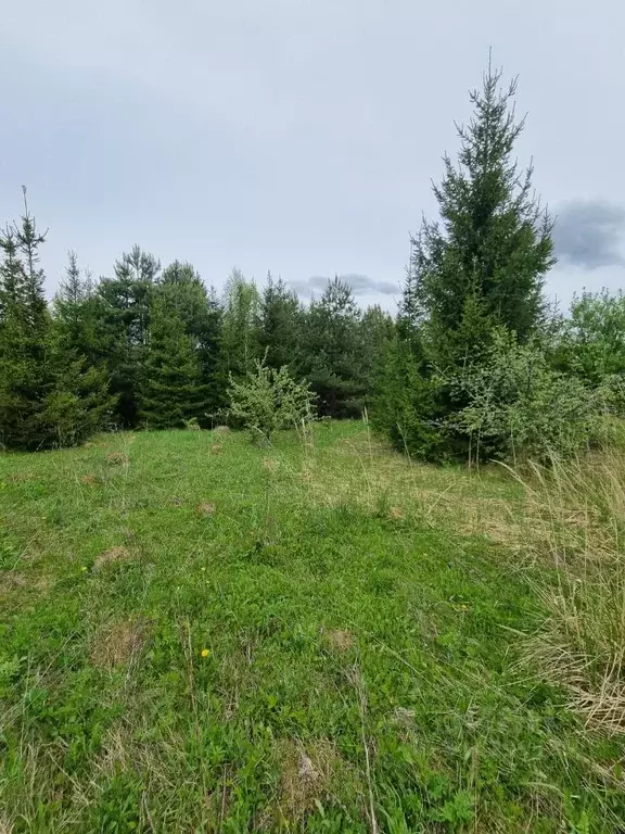 Участок в Калужская область, Малоярославецкий муниципальный округ, д. ... - Фото 2