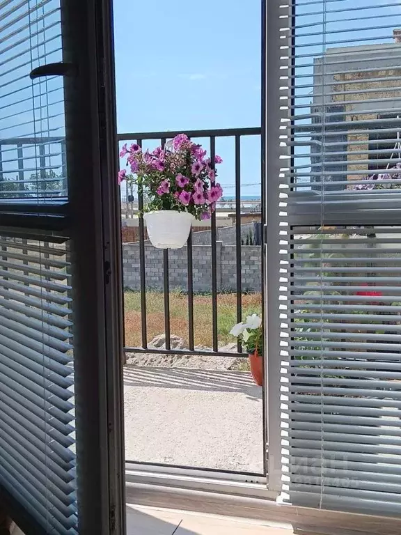 Студия Крым, Сакский район, с. Молочное ул. Мира, 77 (32.0 м) - Фото 2