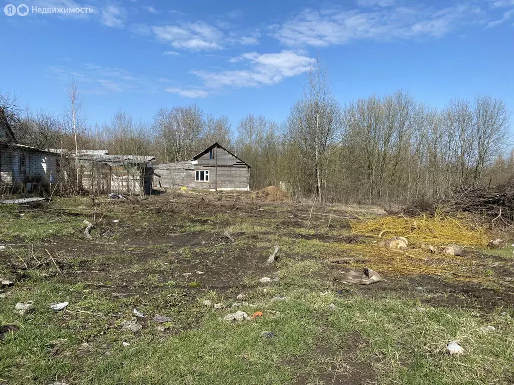 Участок в деревня Добрунь, садоводческое некоммерческое товарищество ... - Фото 0