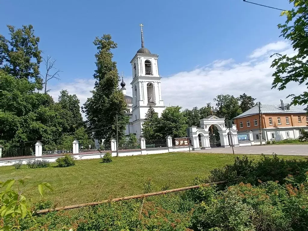 Участок в Московская область, Богородский городской округ, с. Ямкино ... - Фото 2